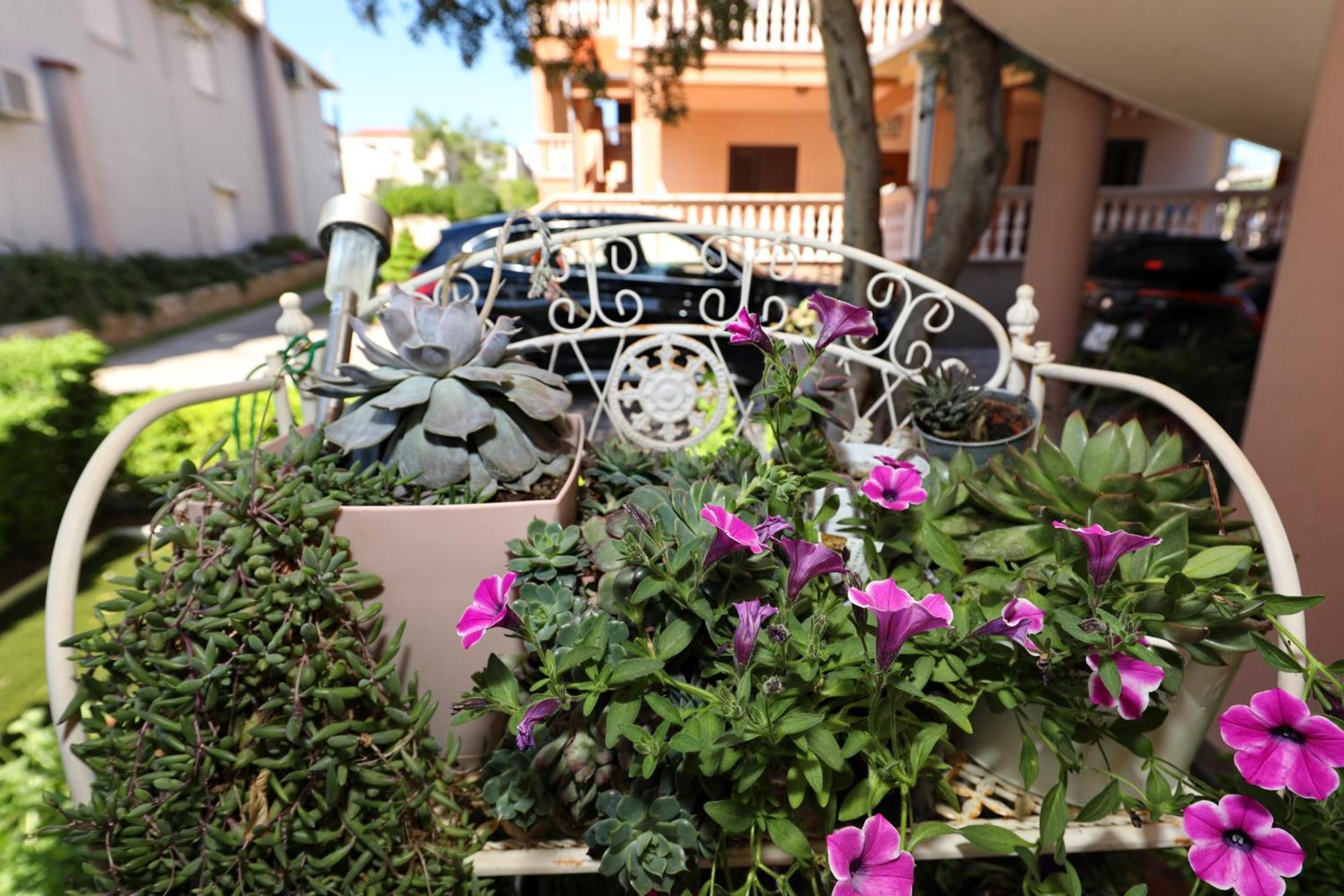 Villa Dalmatino Пакоштане Экстерьер фото